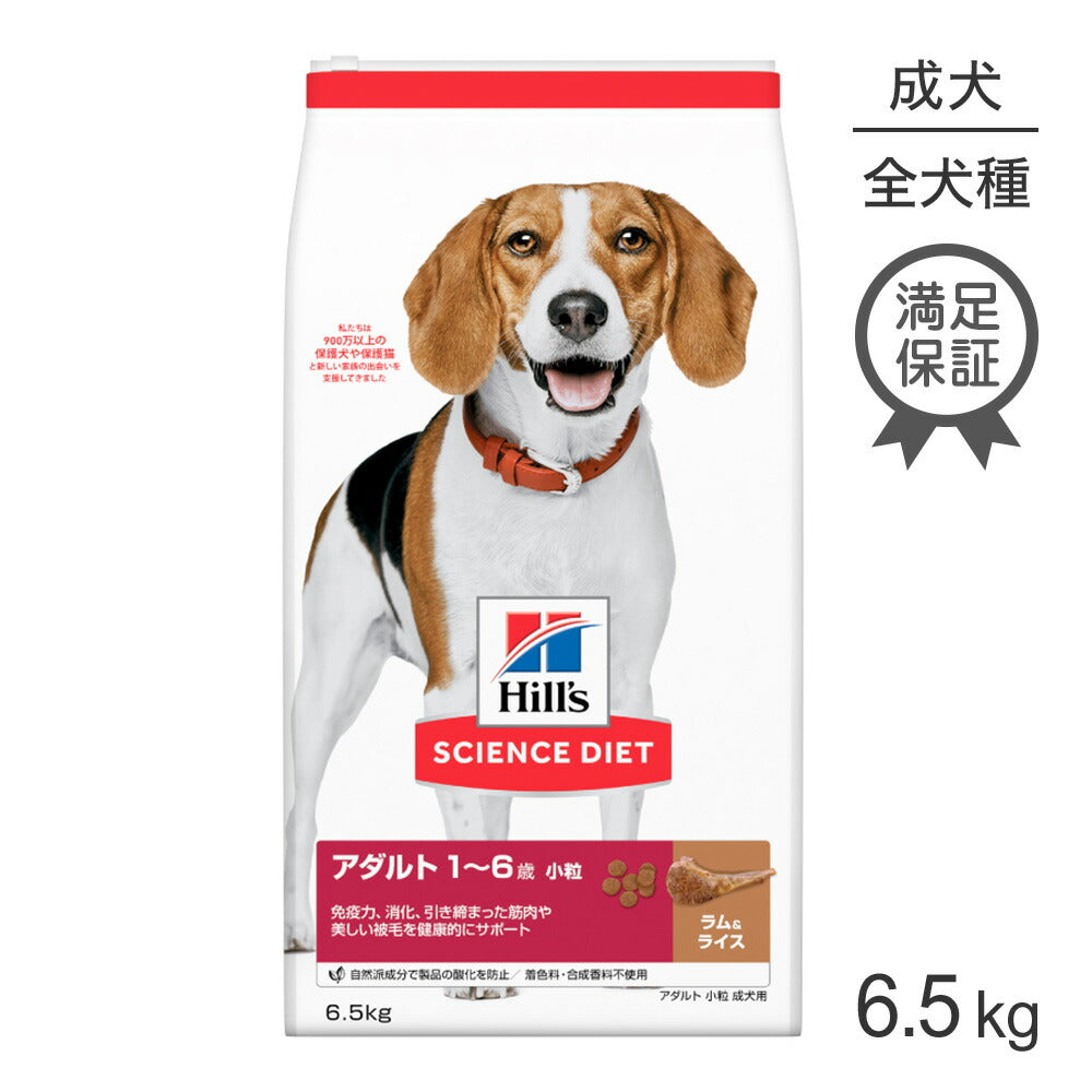 ヒルズ サイエンス・ダイエット アダルト 小粒 1~6歳 成犬用 ラム&ライス 6.5kg (犬・ドッグ)