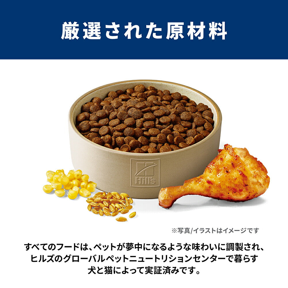 ヒルズ サイエンス・ダイエット シニア 中粒 7歳以上 高齢犬用 チキン 3.3kg (犬・ドッグ)