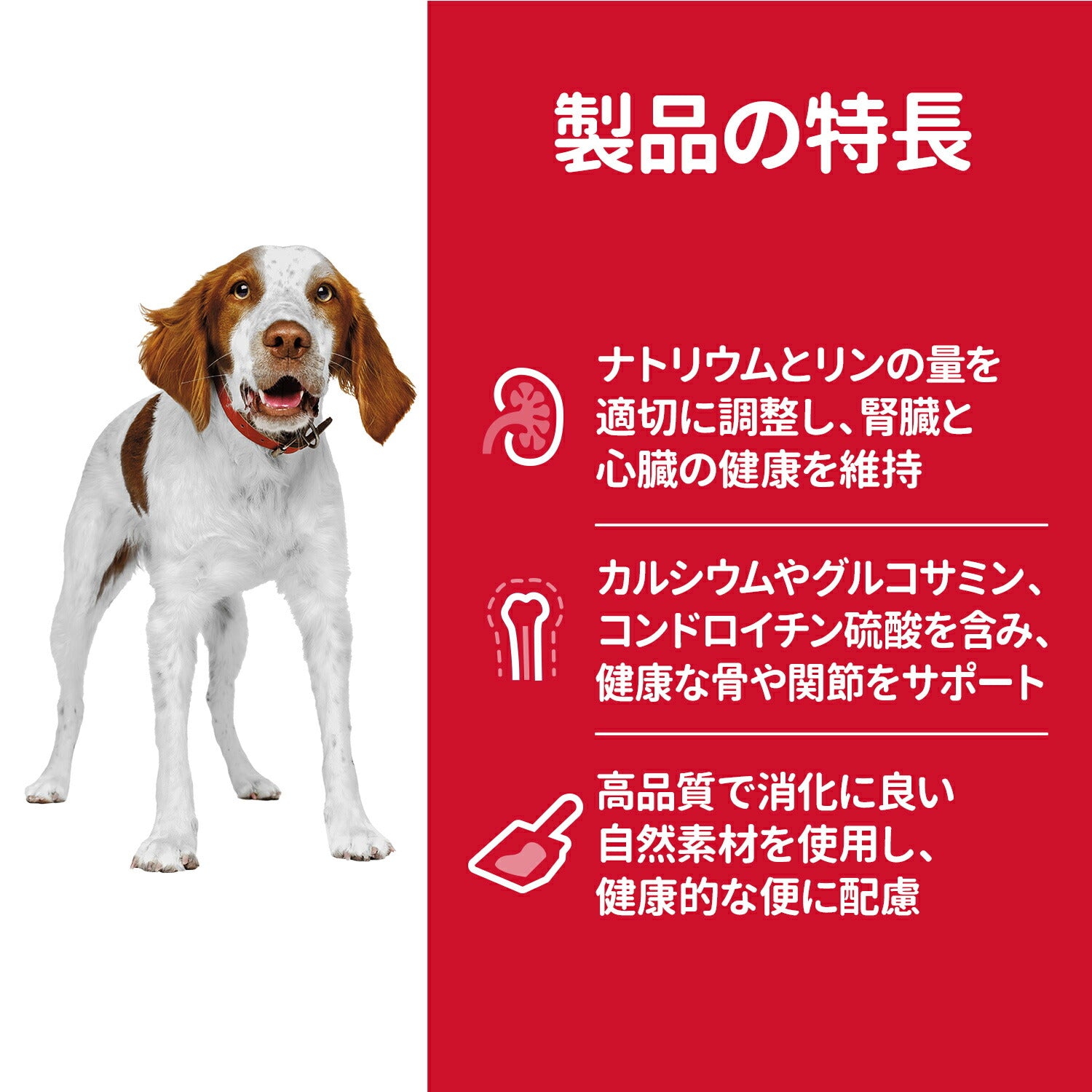 【6.5kg×3袋】ヒルズ サイエンス・ダイエット シニア 中粒 7歳以上 高齢犬用 チキン (犬・ドッグ)