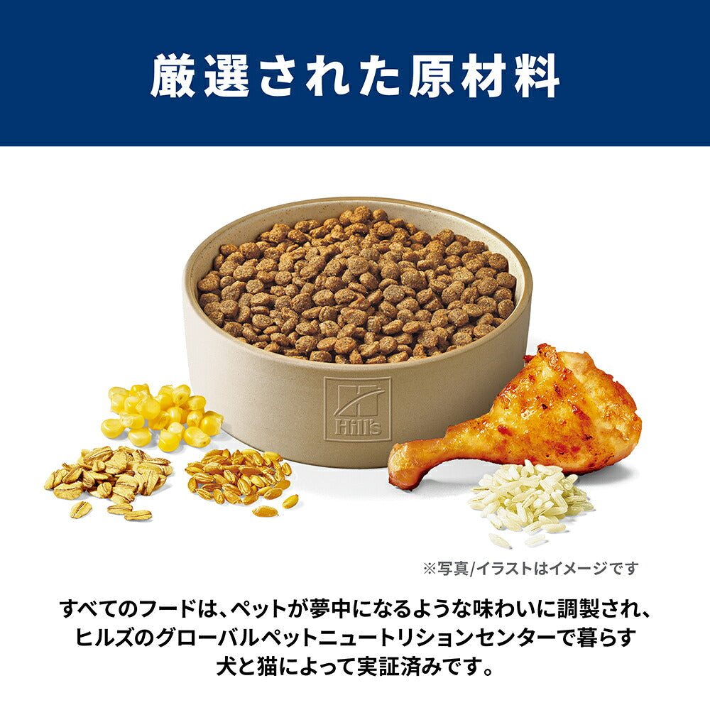 ヒルズ サイエンス・ダイエット シニア アドバンスド 小粒 13歳以上 高齢犬用 チキン 6.5kg (犬・ドッグ)