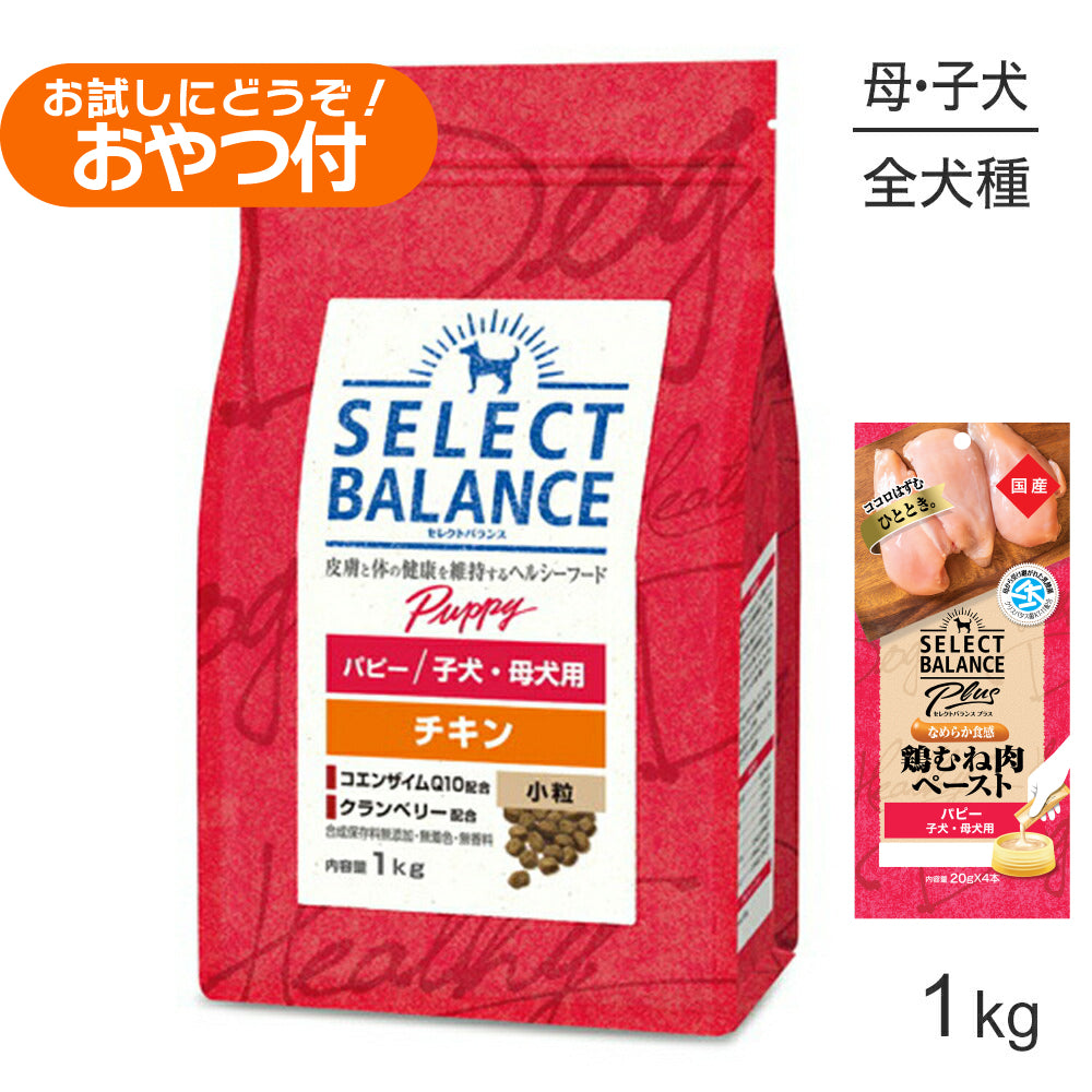 セレクトバランス パピー チキン 小粒 子犬・母犬用 1kg+子犬・母犬用 鶏むね肉ペースト 20g×4本(犬・ドッグ)