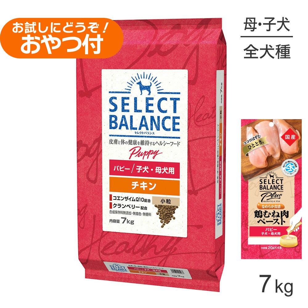 セレクトバランス パピー チキン 小粒 子犬・母犬用 7kg+子犬・母犬用 鶏むね肉ペースト (20g×4本)×2袋(犬・ドッグ)