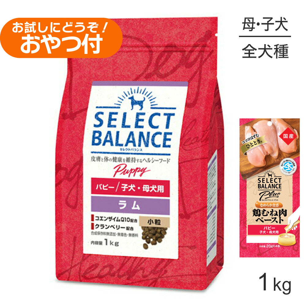 セレクトバランス パピー ラム 小粒 子犬・母犬用 1kg+子犬・母犬用 鶏むね肉ペースト 20g×4本(犬・ドッグ)