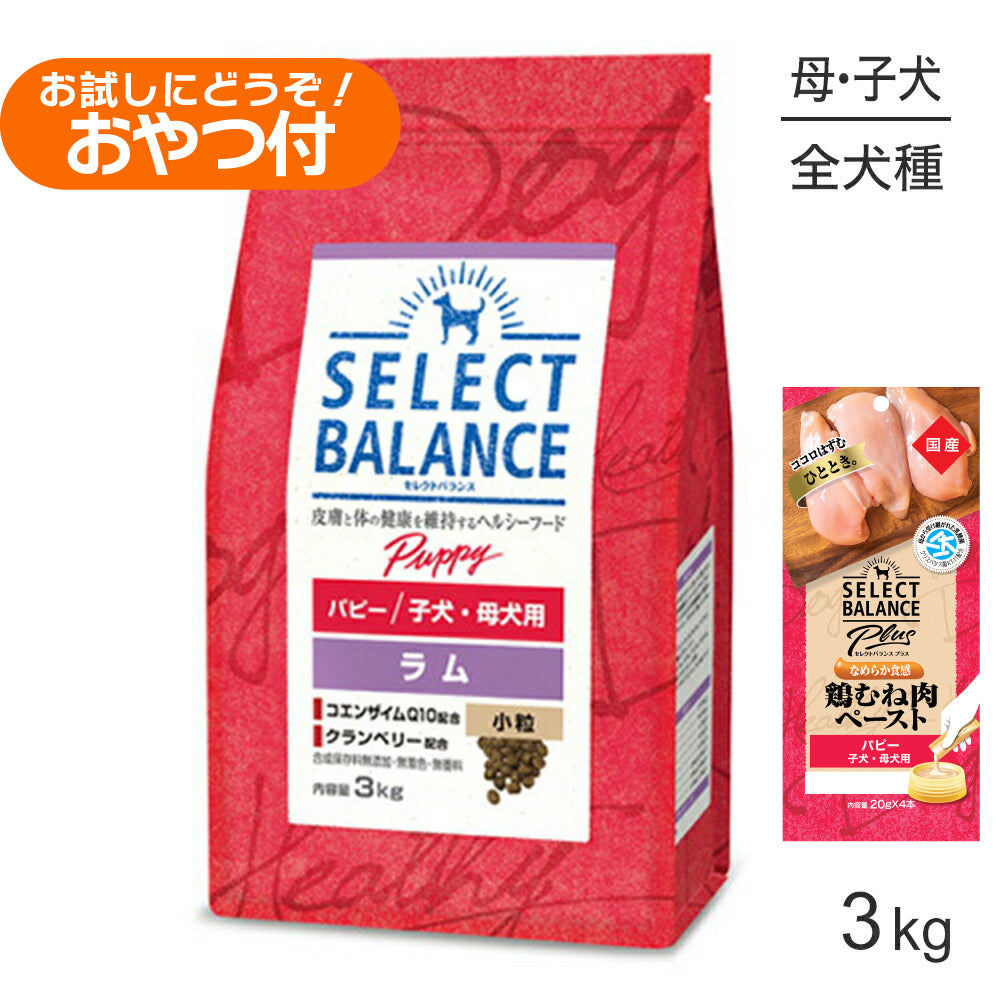 セレクトバランス パピー ラム 小粒 子犬・母犬用 3kg+子犬・母犬用 鶏むね肉ペースト 20g×4本(犬・ドッグ)