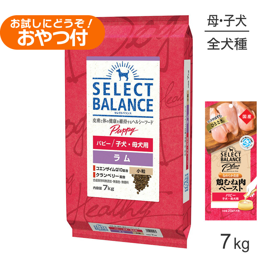 セレクトバランス パピー ラム 小粒 子犬・母犬用 7kg+子犬・母犬用 鶏むね肉ペースト (20g×4本)×2袋(犬・ドッグ)