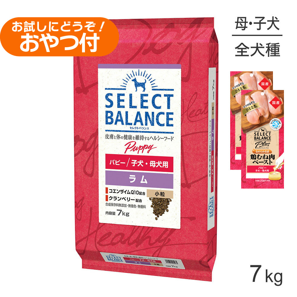 セレクトバランス パピー ラム 小粒 子犬・母犬用 7kg+子犬・母犬用 鶏むね肉ペースト (20g×4本)×2袋(犬・ドッグ)