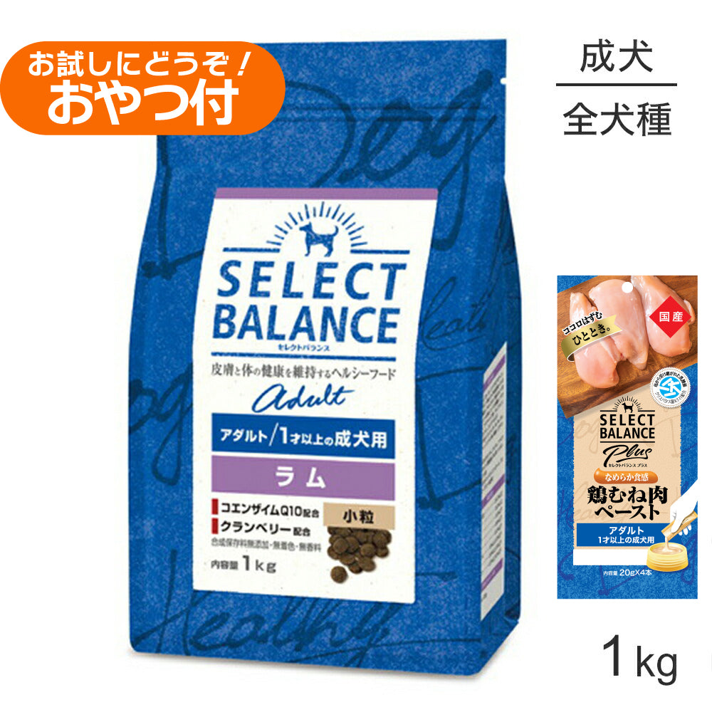セレクトバランス アダルト ラム 小粒 1才以上の成犬用 1kg+成犬用 鶏むね肉ペースト 20g×4本(犬・ドッグ)