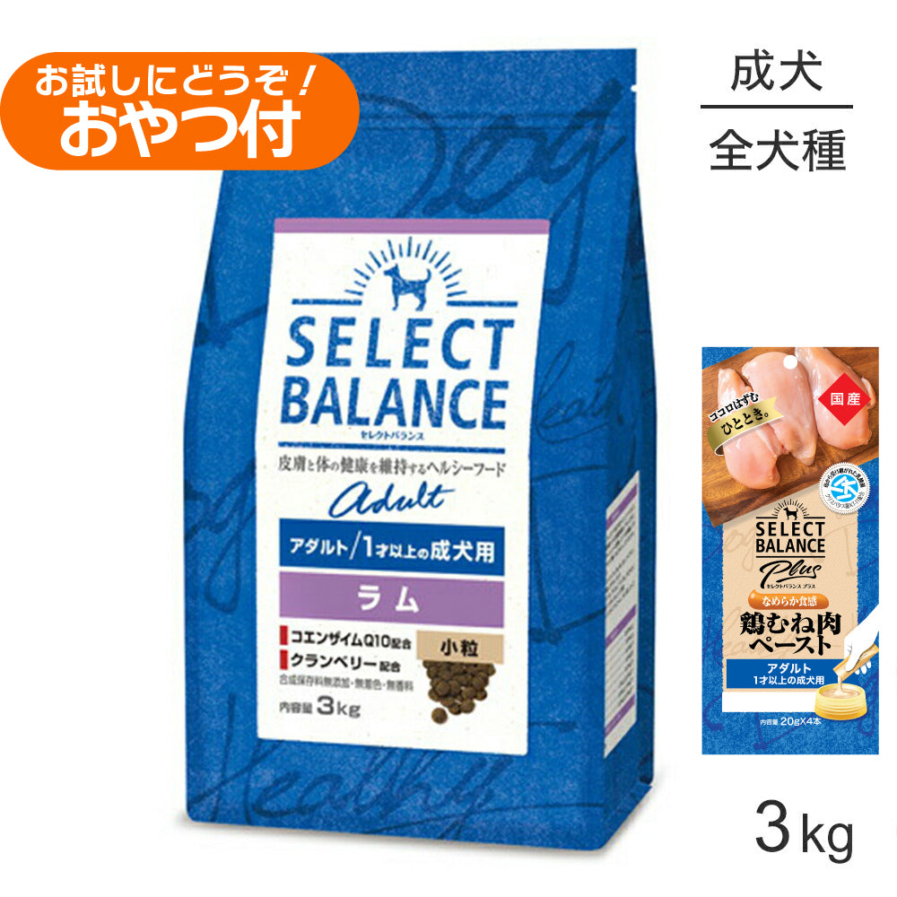 セレクトバランス アダルト ラム 小粒 1才以上の成犬用 3kg+成犬用 鶏むね肉ペースト 20g×4本(犬・ドッグ)