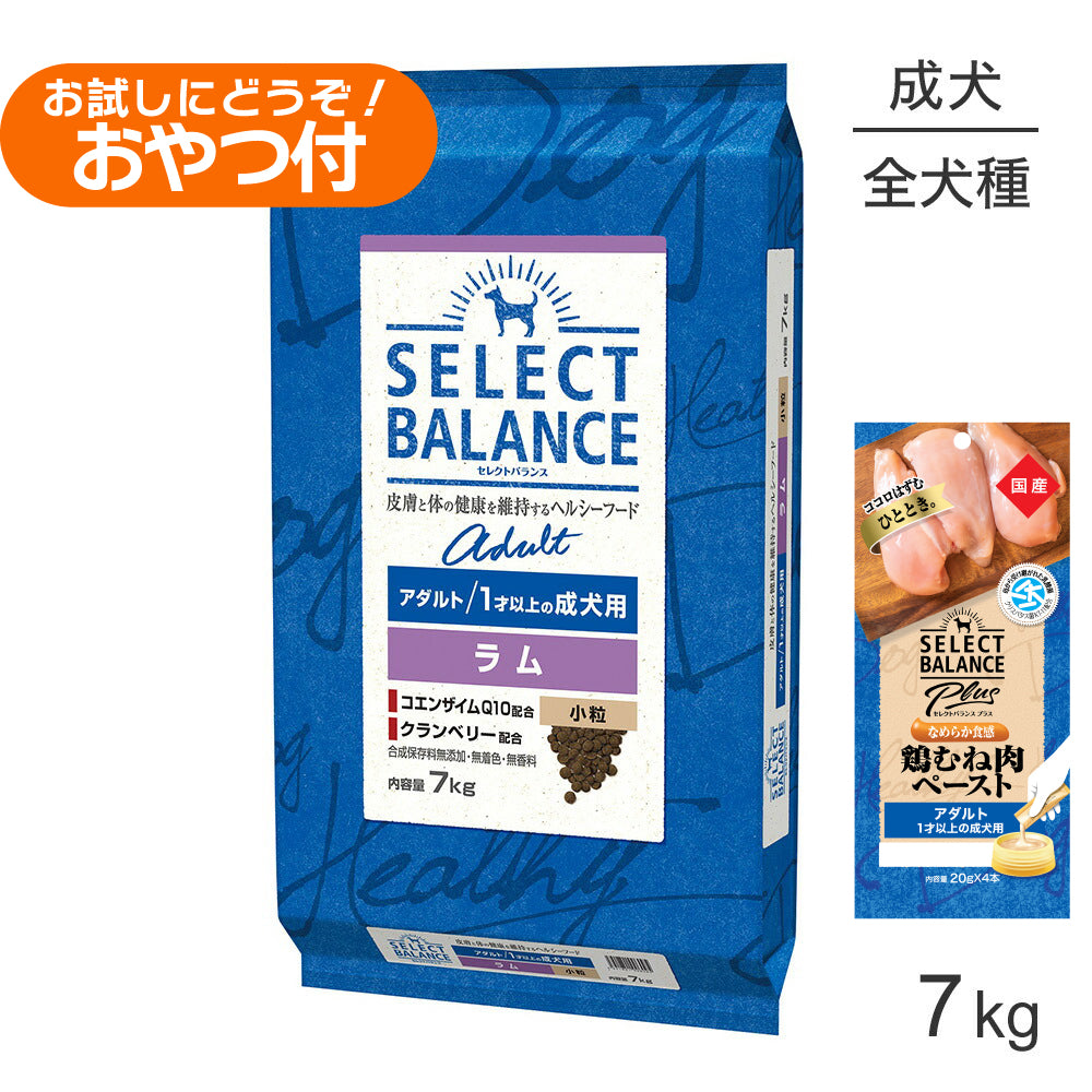 セレクトバランス アダルト ラム 小粒 1才以上の成犬用 7kg+成犬用 鶏むね肉ペースト (20g×4本)×2袋(犬・ドッグ)