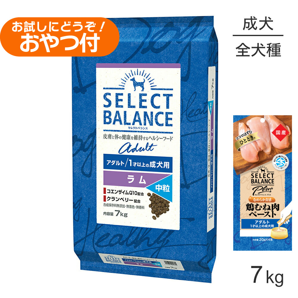 セレクトバランス アダルト ラム 中粒 1才以上の成犬用 7kg+成犬用 鶏