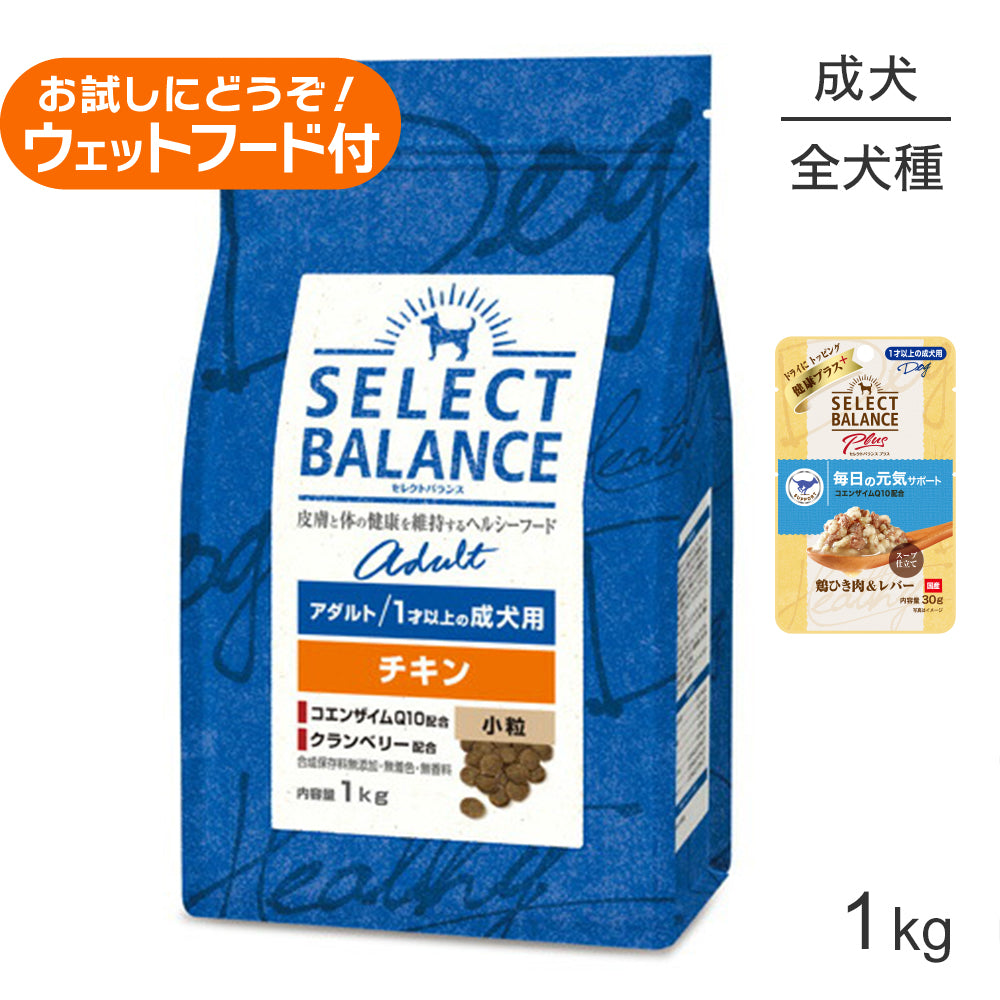 セレクトバランス アダルト チキン 小粒 1才以上の成犬用 1kg+成犬用 鶏ひき肉&レバー ウェット 30g(犬・ドッグ)