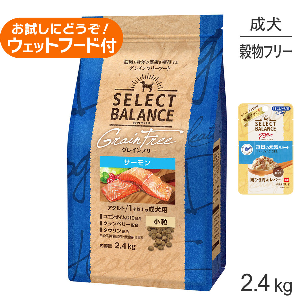 セレクトバランス グレインフリー アダルト サーモン 小粒 1才以上の成犬用 2.4kg+成犬用 鶏ひき肉&レバー ウェット 30g(犬・ドッグ)