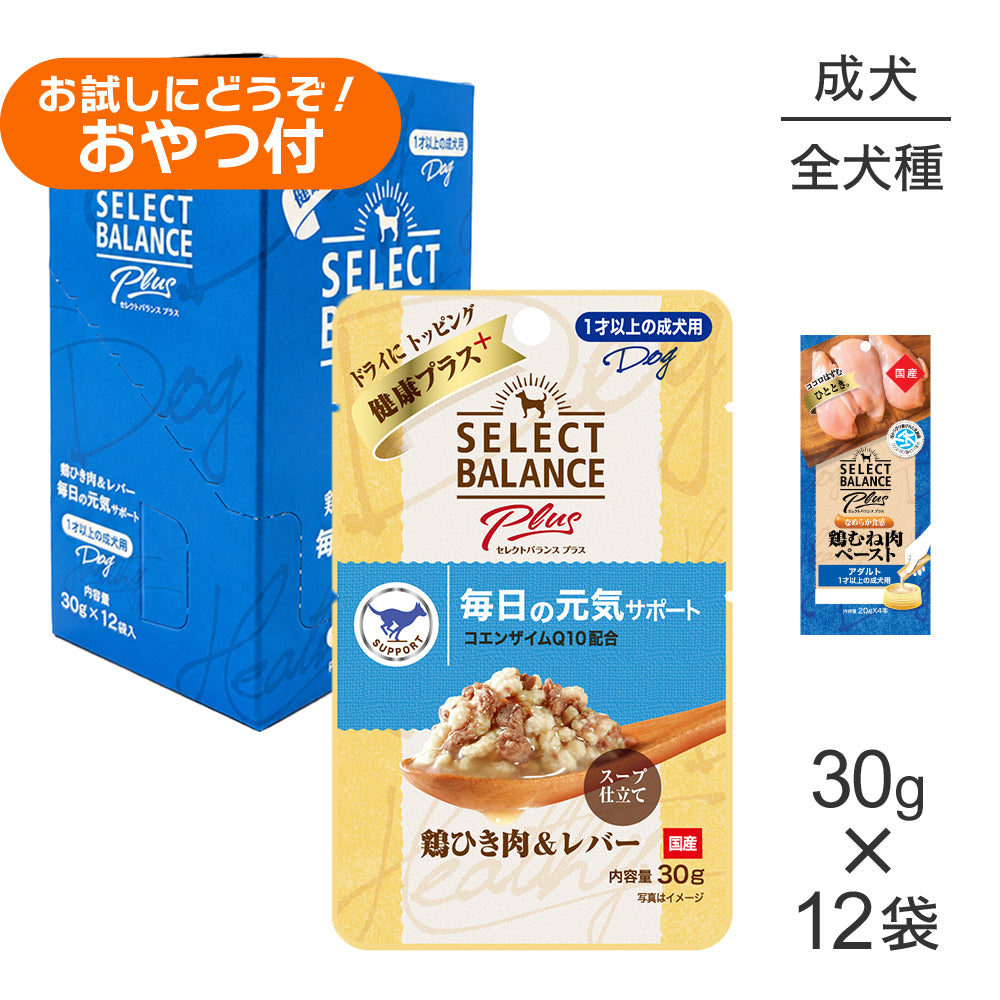 セレクトバランス Plus 毎日の元気サポート 1才以上の成犬用 鶏ひき肉&レバー ウェット 30g×12袋+成犬用 鶏むね肉ペースト 20g×4本(犬・ドッグ)
