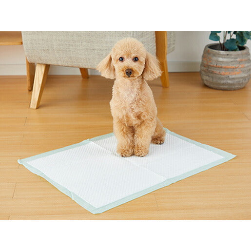 ボンビ しつけるシーツW消臭neo ワイド 30枚 (犬・ドッグ)