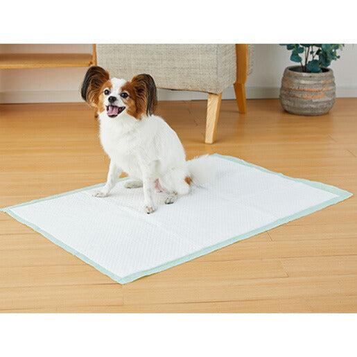 ボンビ しつけるシーツW消臭neo スーパーワイド 15枚 (犬・ドッグ)