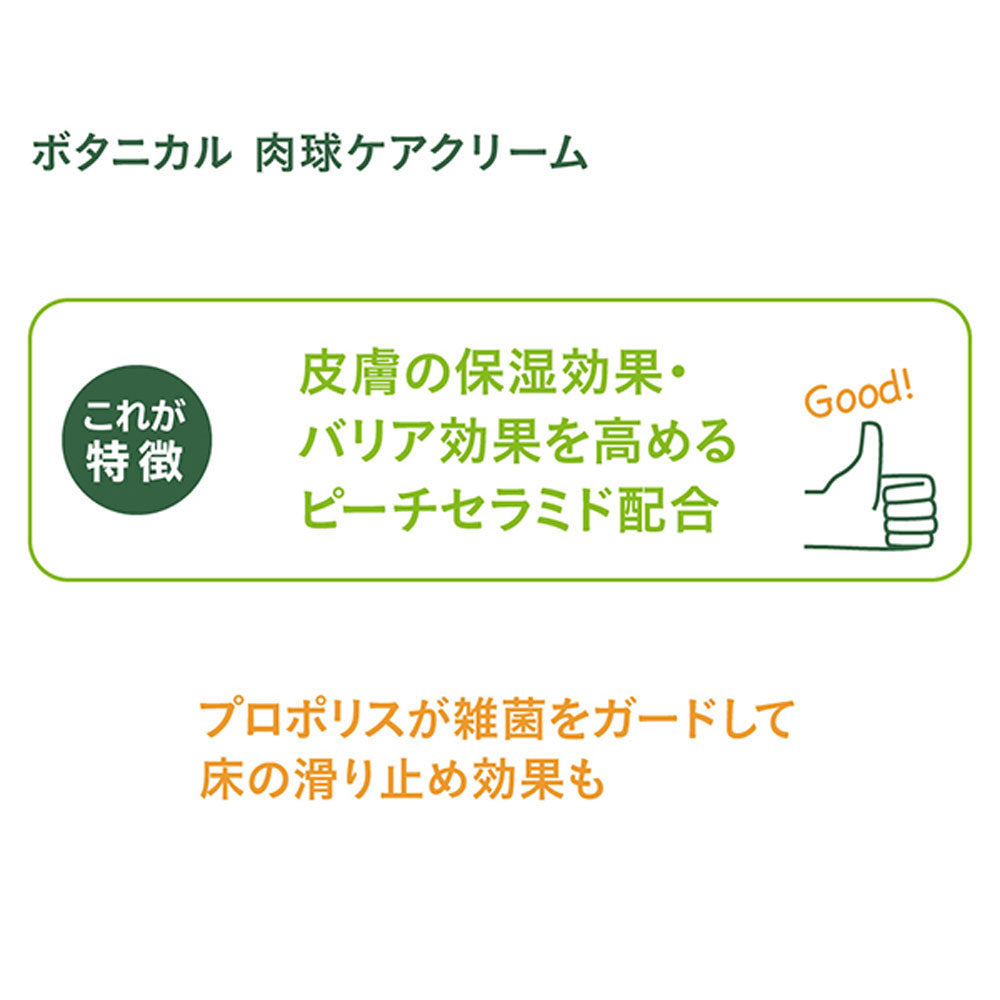 ボンビ ボタニカル肉球ケアクリーム 30g (犬猫兼用)