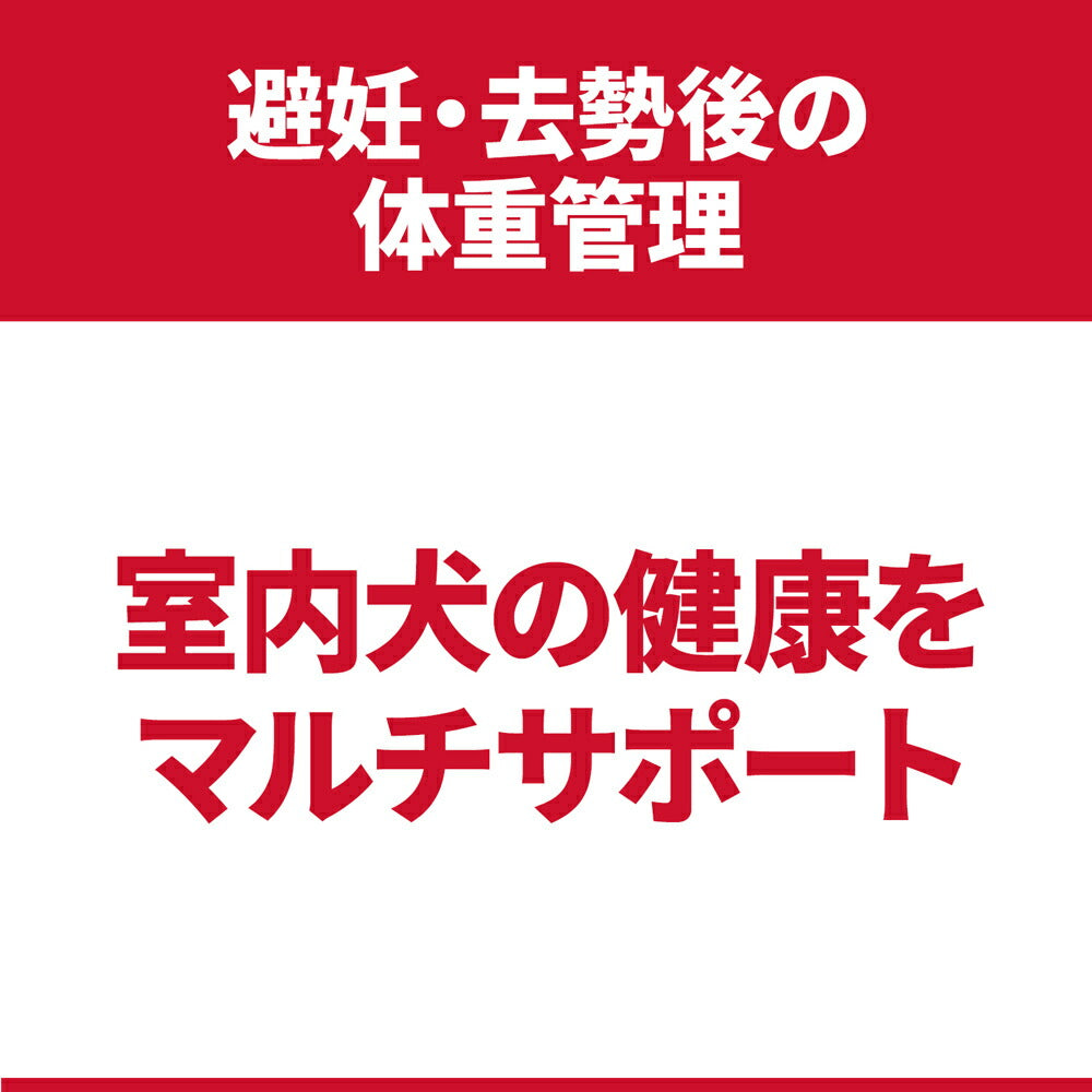【1.3kg×2袋】ヒルズ サイエンス・ダイエット 室内 小型犬用 避妊・去勢後 1歳以上の成犬・高齢犬用 チキン (犬・ドッグ)