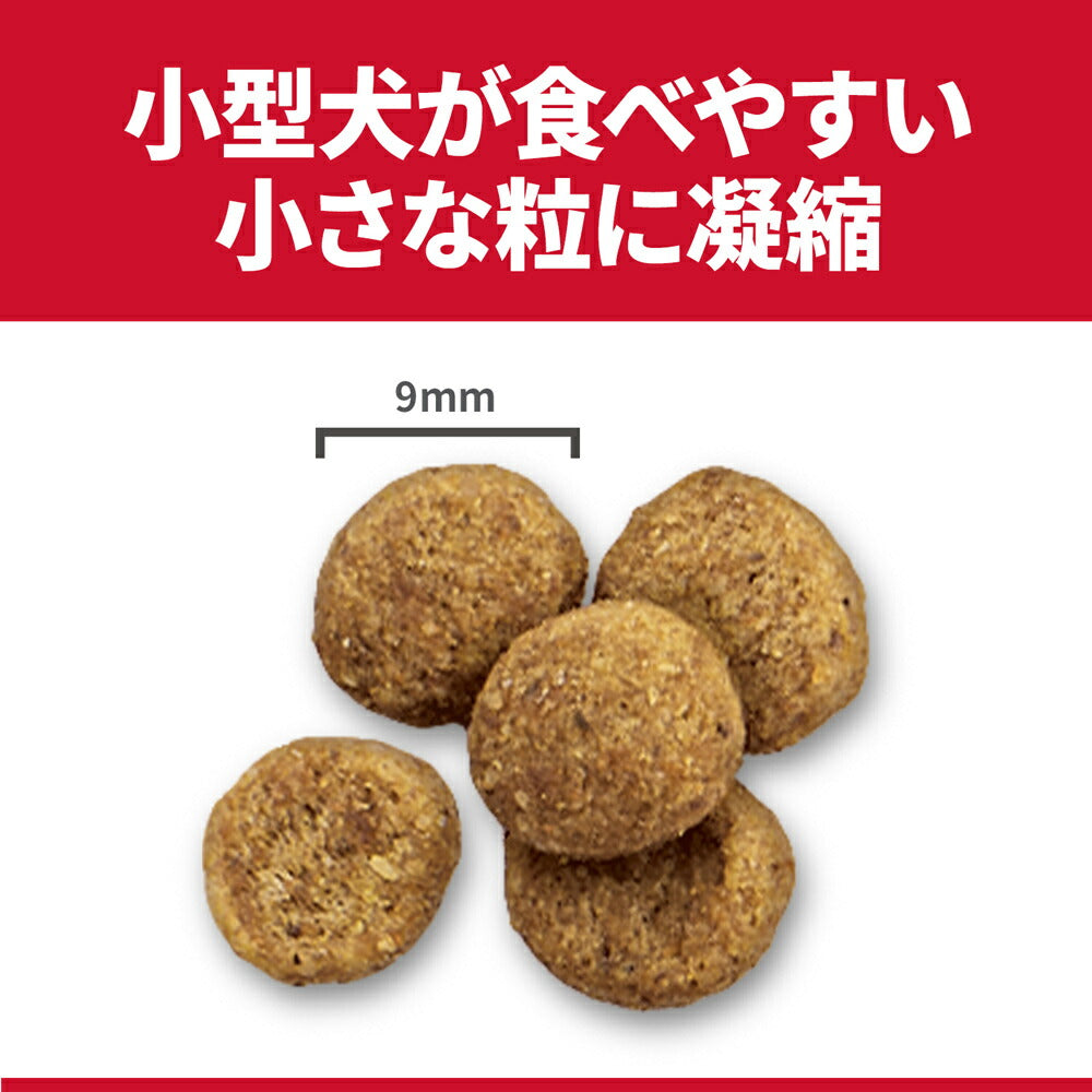 【1.3kg×6袋】ヒルズ サイエンス・ダイエット 室内 小型犬用 避妊・去勢後 1歳以上の成犬・高齢犬用 チキン (犬・ドッグ)