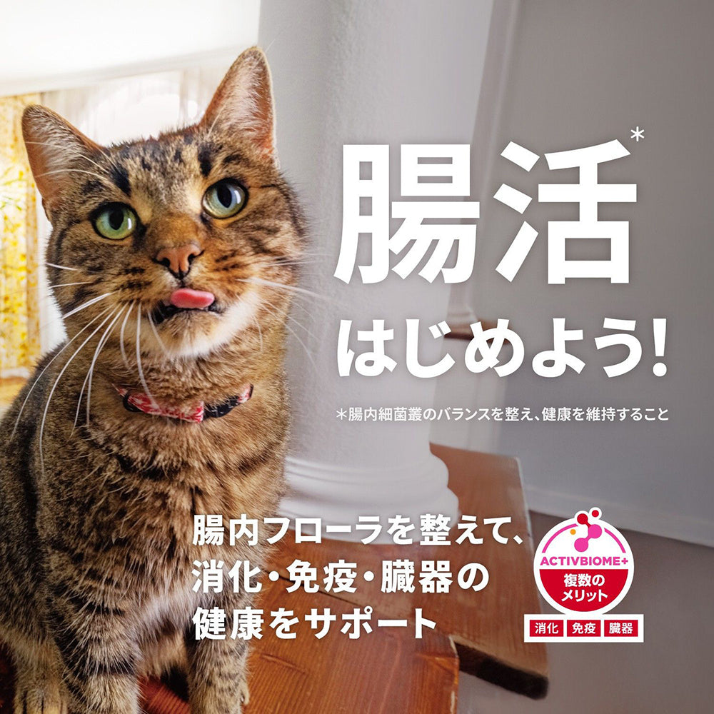 【メール便】【100g×3袋】ヒルズ サイエンス・ダイエット アダルト 1~6歳 成猫用 チキン お試し (猫・キャット)
