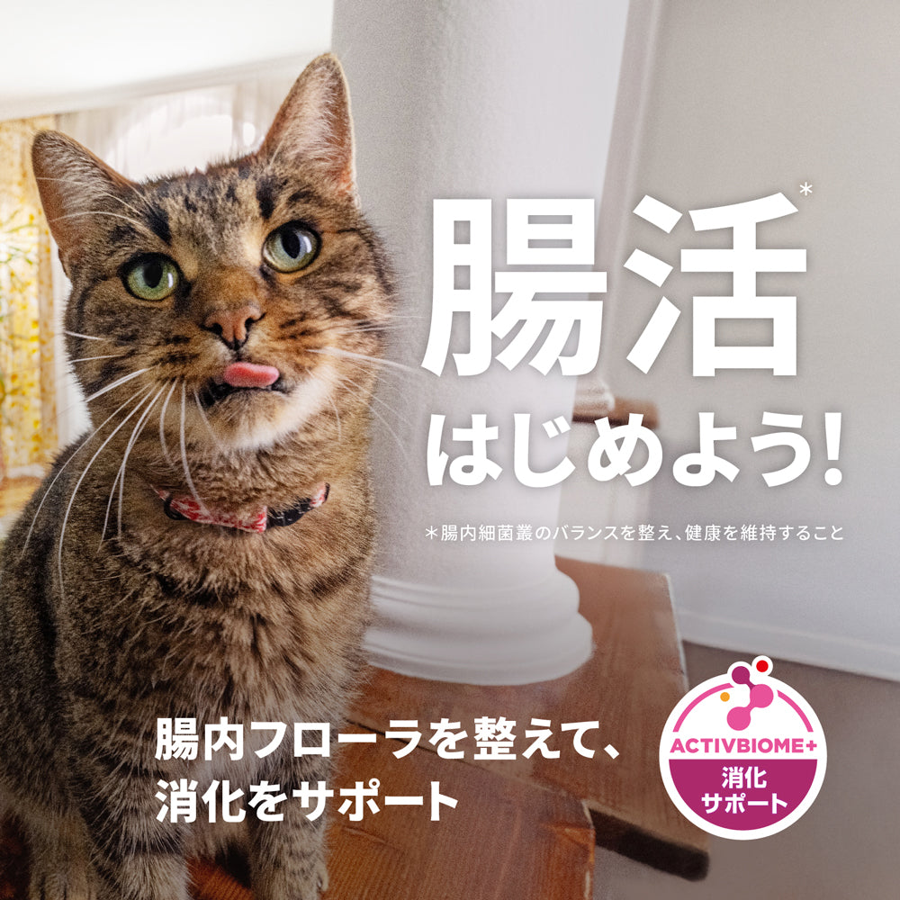 【メール便】【100g×3袋】ヒルズ サイエンス・ダイエット キトン 12ヶ月まで 子猫用/妊娠・授乳期の母猫にも チキン お試し (猫・キャット)