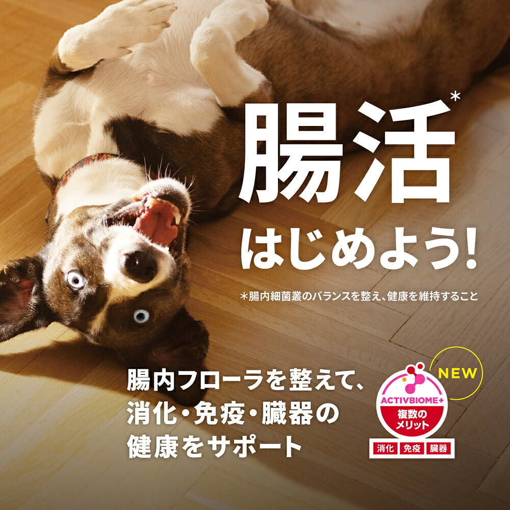 【6.5kg×2袋】ヒルズ サイエンス・ダイエット アダルト 小粒 1~6歳 成犬用 チキン 保存容器おまけ付 (犬・ドッグ)
