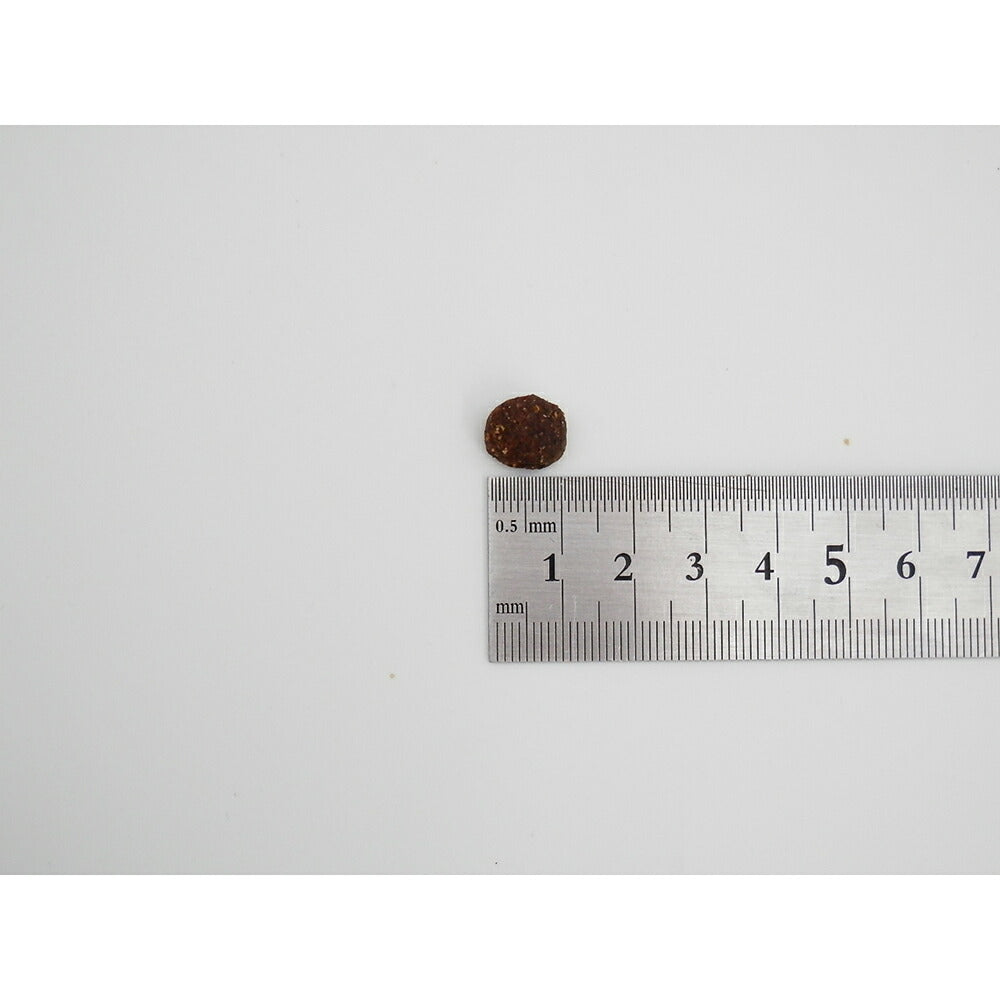 ホリスティックレセピー 成犬用 ラム&ライス 中粒 18.1kg (犬・ドッグ) HolisticRECIPE