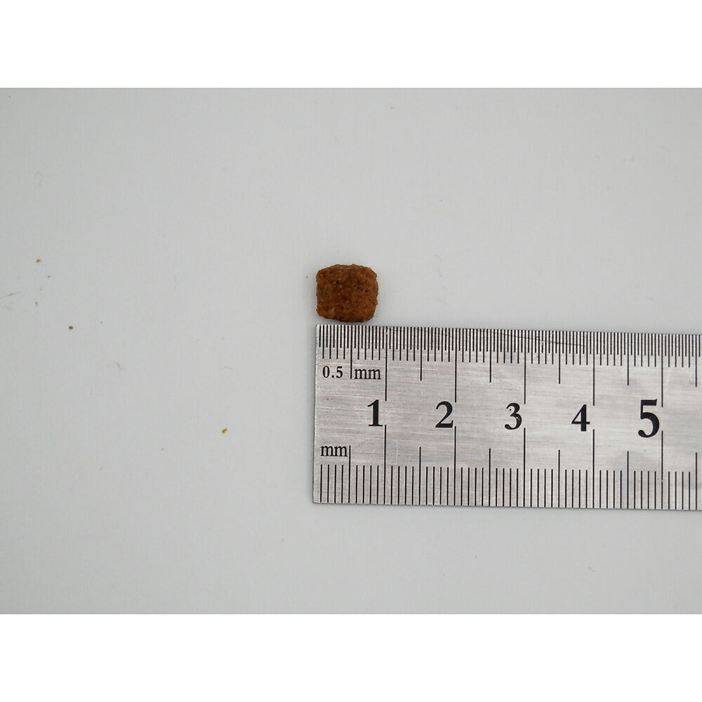 ホリスティックレセピー ソリューション 体重管理・去勢犬用 ライス&チキン 800g (犬・ドッグ) HolisticRECIPE