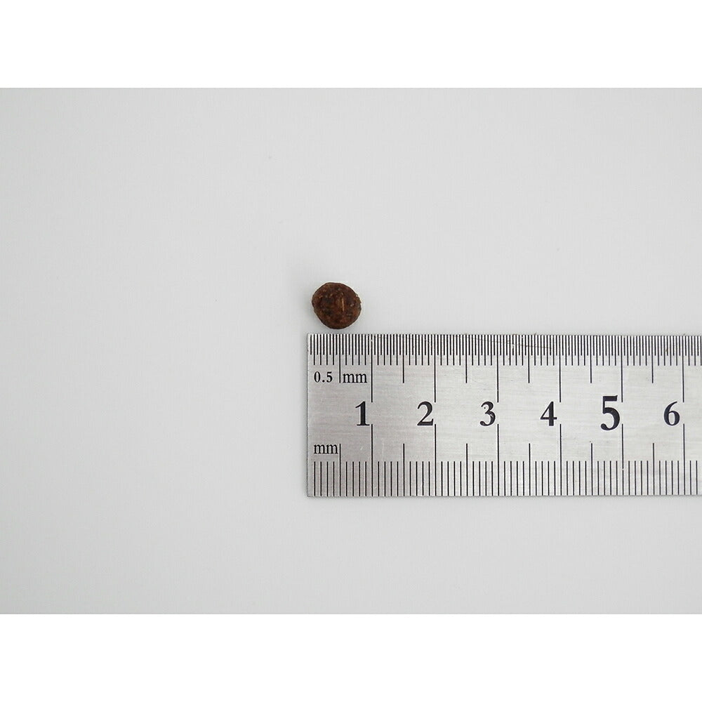 ホリスティックレセピー ソリューション EC-12 1歳から ラム&ライス 2.4kg (犬・ドッグ) HolisticRECIPE