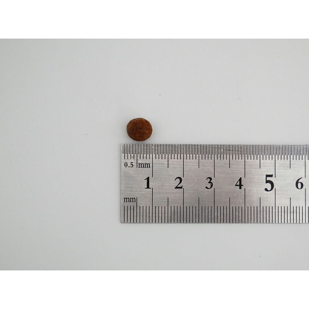 ホリスティックレセピー ソリューション EC-12 1歳から チキン&ライス 2.4kg (犬・ドッグ) HolisticRECIPE