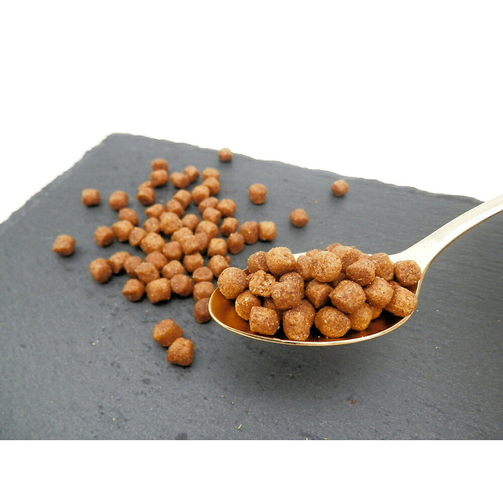 ホリスティックレセピー ソリューション EC-12 1歳から チキン&ライス 6.4kg (犬・ドッグ) HolisticRECIPE