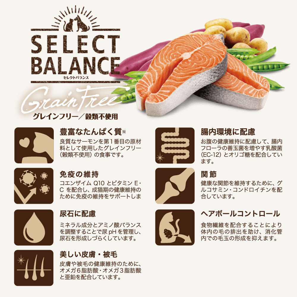 セレクトバランス グレインフリー キトン ~12ヶ月の子猫・母猫用 贅沢サーモン 小粒 1.4kg(猫・キャット)