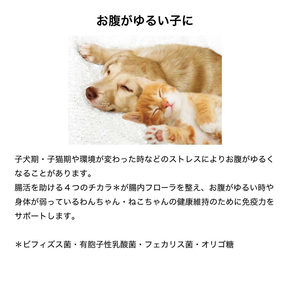 セレクトバランス サプリメント 善玉菌のチカラ 猫用 顆粒 腸活 300g (猫・キャット)