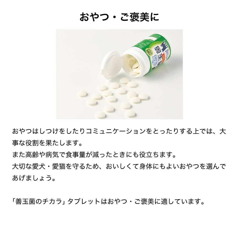 セレクトバランス サプリメント 善玉菌のチカラ 犬用 顆粒 腸活 300g (犬・ドッグ)