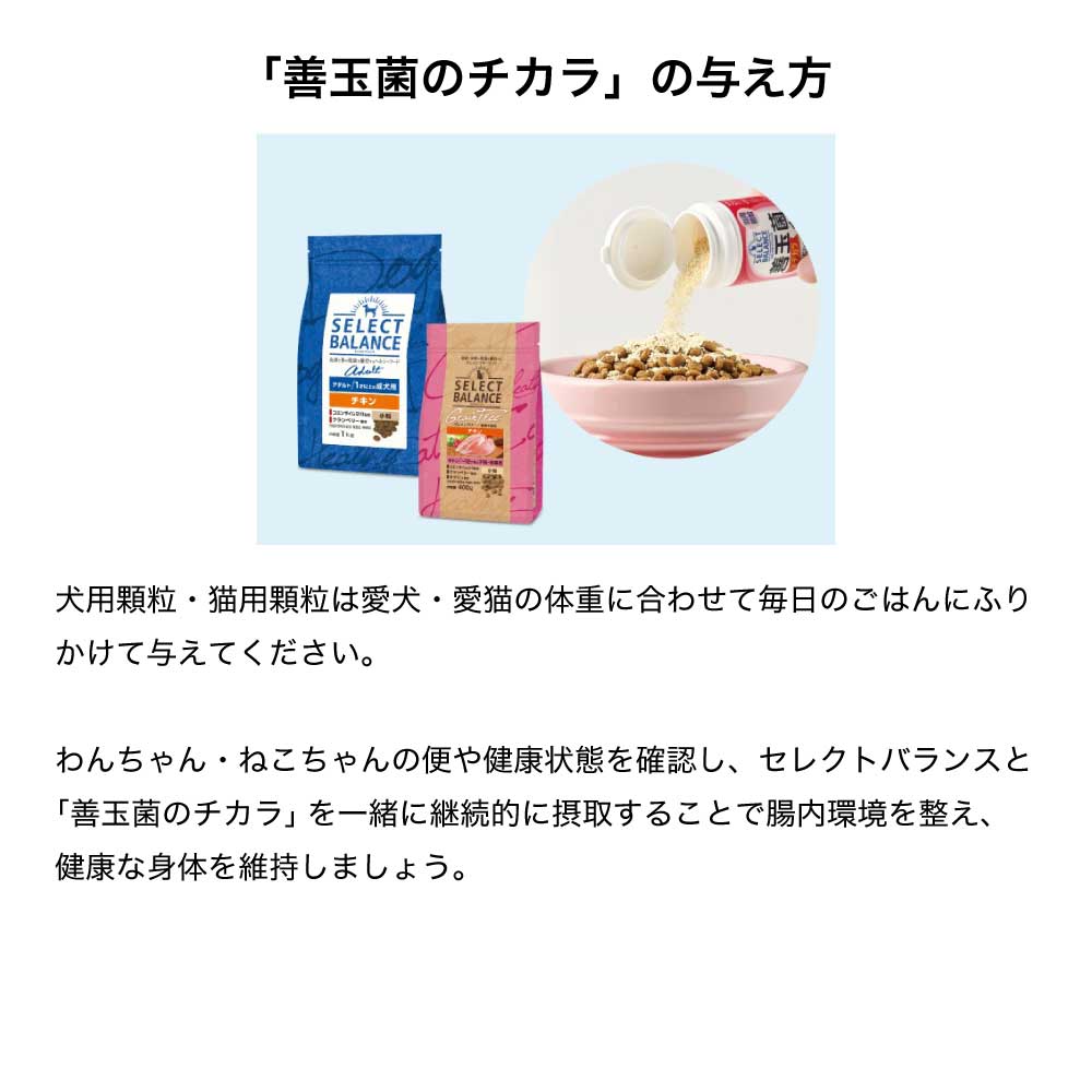 セレクトバランス サプリメント 善玉菌のチカラ 犬猫用 タブレット 腸活 45g (犬猫兼用)