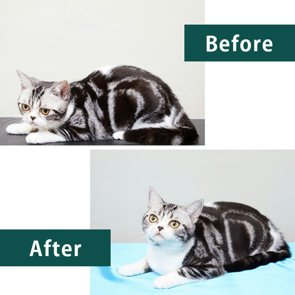 たかくら新産業 APDC 猫用プロフェッショナル クレンジング&コンディショナー ミニボトル (猫・キャット)