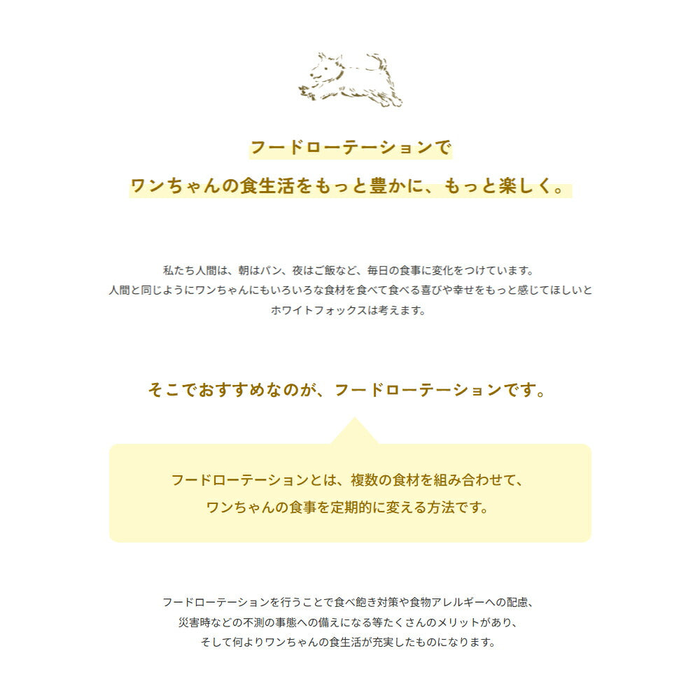 ホワイトフォックス BASE DELI FRUIT ベースデリ フルーツ 手づくりごはんベース 無添加 500g (犬・ドッグ) white fox