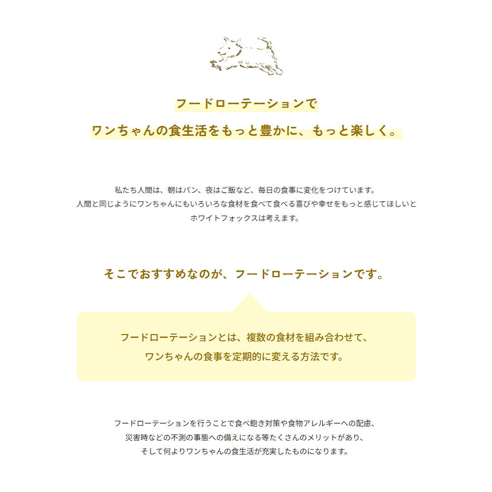 ホワイトフォックス BASE DELI うまみDASHI ベースデリ うまみだし 手づくりごはんベース 無添加 500g (犬・ドッグ) white fox