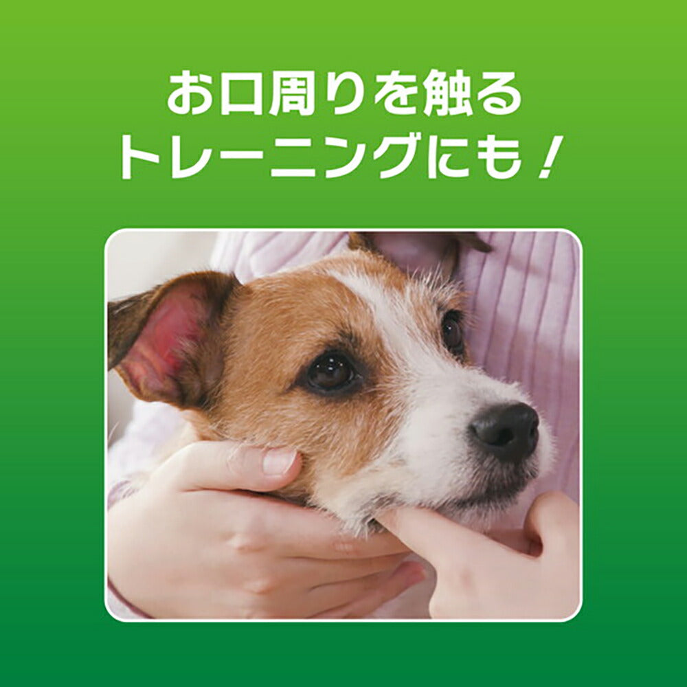 ライオン PETKISS 歯みがきジェル リーフの香り 40g (犬猫兼用)