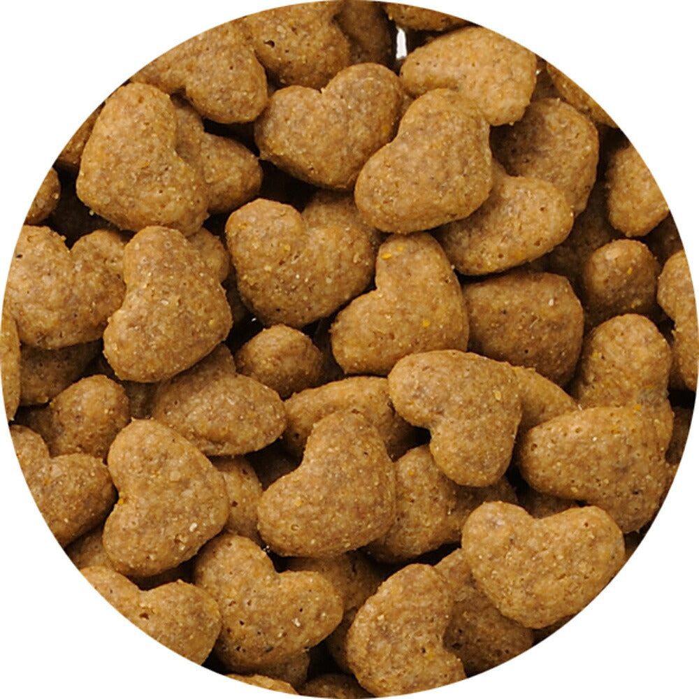 ビューティープロ キャット 成猫用 1歳から 室内猫用 チキン味 1.5kg (猫・キャット)