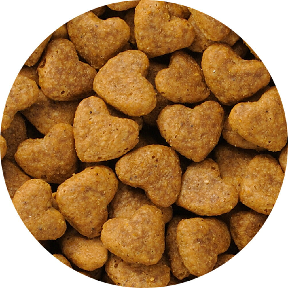 ビューティープロ キャット 下部尿路の健康維持 1歳から フィッシュ味 1.4kg (猫・キャット)