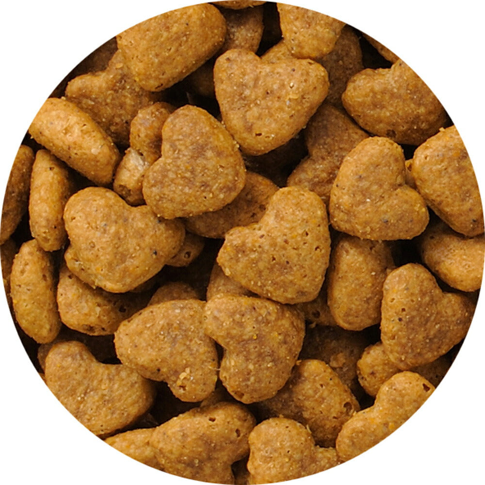 ビューティープロ キャット 下部尿路の健康維持 11歳以上 フィッシュ味 1.4kg (猫・キャット)