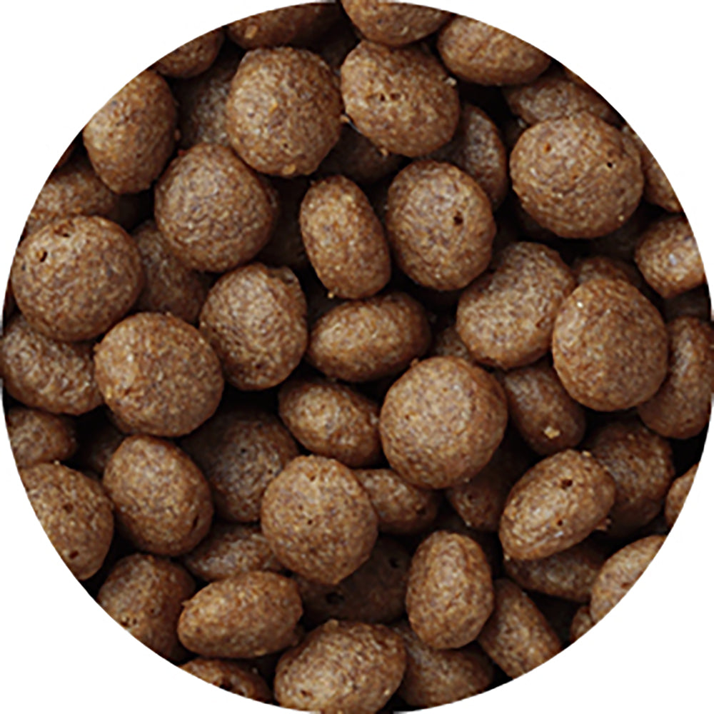 ペットライン メディコートアドバンス アレルゲンカット 11歳から 魚&お米 2.5kg (犬・ドッグ)