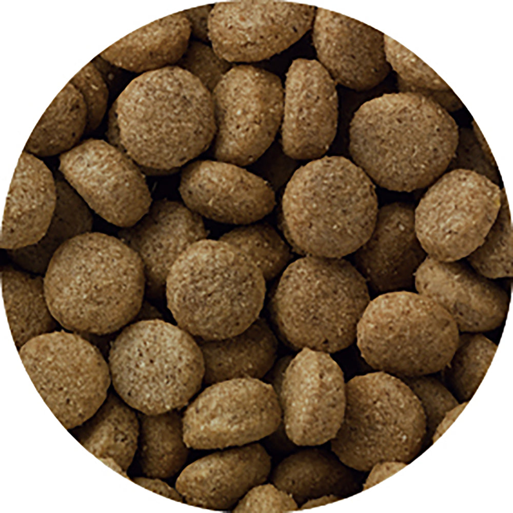 ペットライン メディコートアドバンス アレルゲンカット 11歳から 魚&えんどう豆たんぱく 2kg (犬・ドッグ)