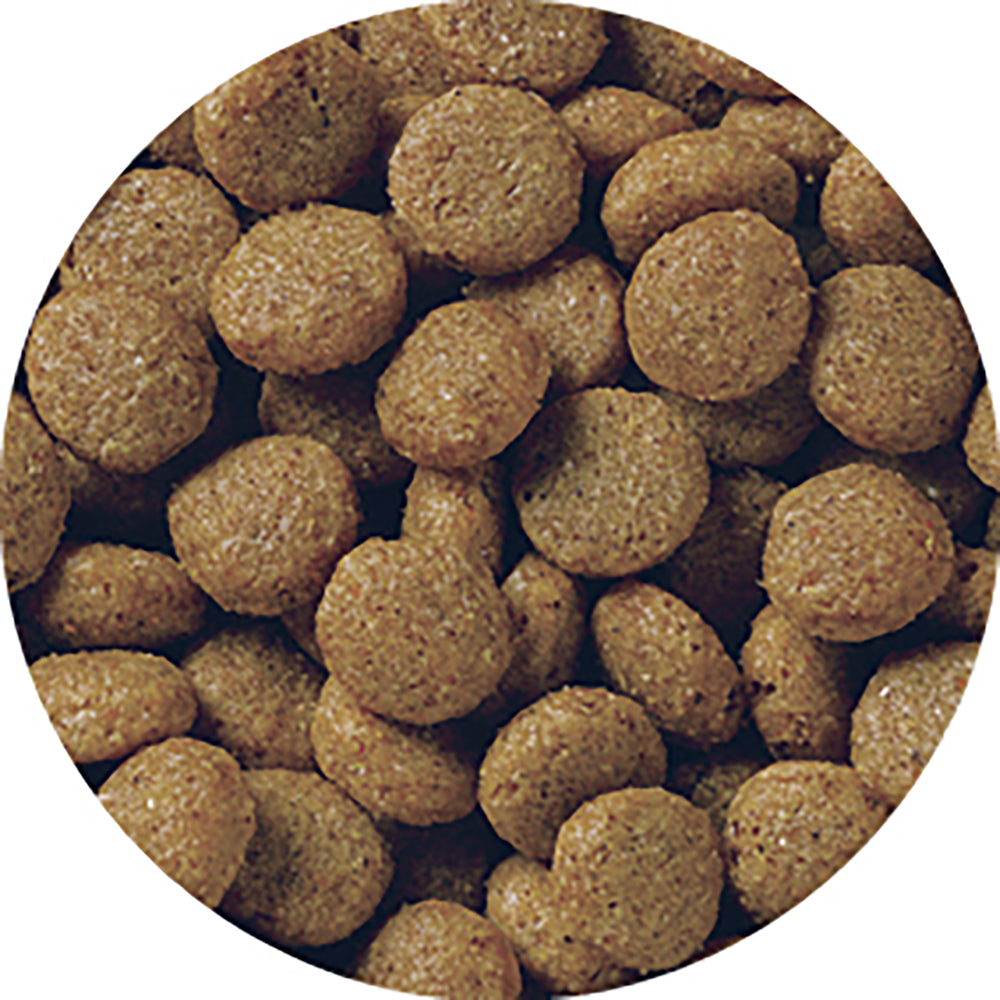 ペットライン メディコートアドバンス 尿石ケア pHサポート 1歳から 2.5kg (犬・ドッグ)