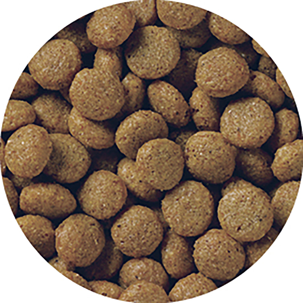 ペットライン メディコートアドバンス グレインフリー 1歳から チキン味 2kg (犬・ドッグ)