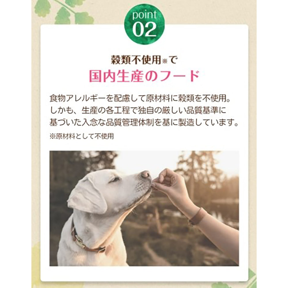 ペットライン メディコートアドバンス グレインフリー 1歳から チキン味 2kg (犬・ドッグ)