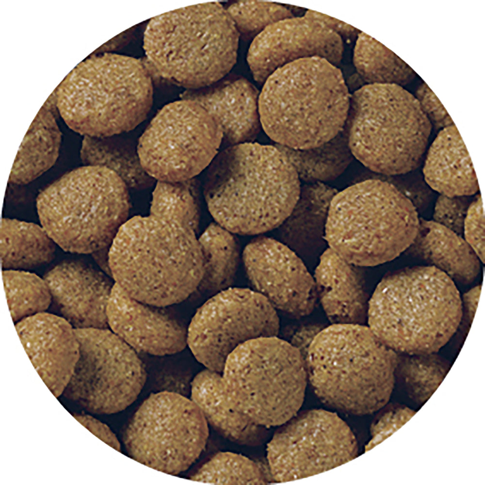 ペットライン メディコート お腹から健康サポート 1歳から 2.5kg (犬・ドッグ)