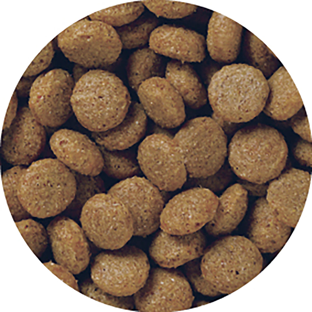 ペットライン メディコート お腹から健康サポート 11歳から 2.5kg (犬・ドッグ)