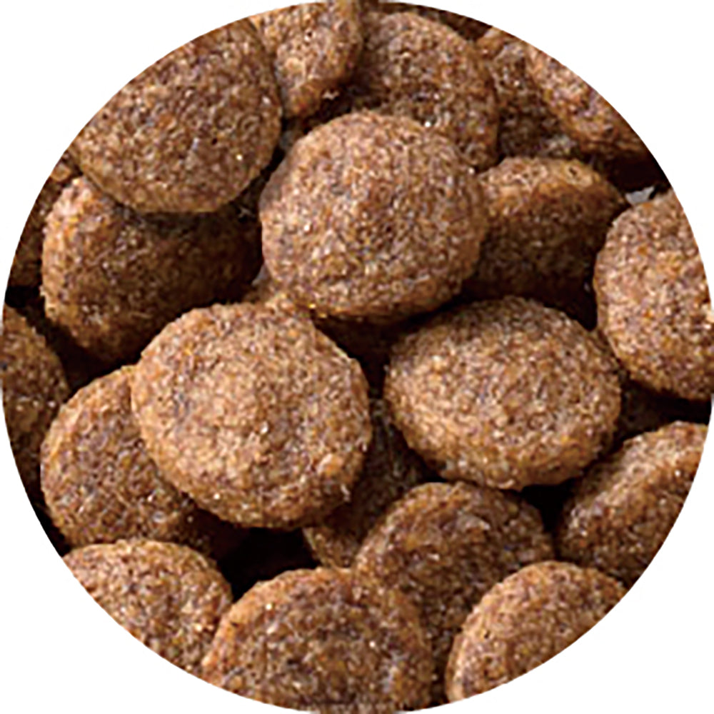 ペットライン JPスタイル 和の究み セレクトヘルスケア 腎臓ガード かつお味 700g (猫・キャット)