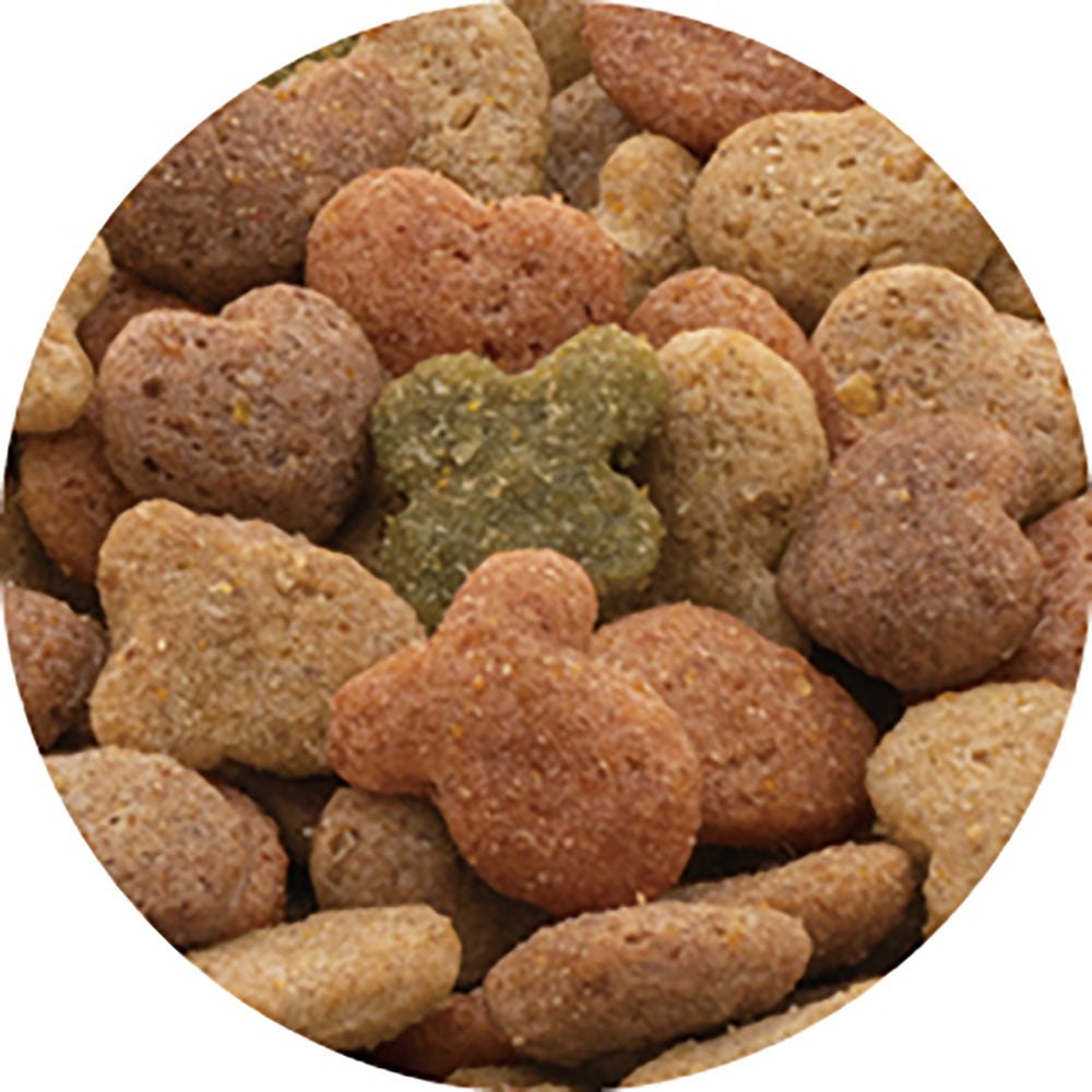 ペットライン キャラットミックス ネオ お肉とお魚味のよくばりブレンド 1kg (猫・キャット)